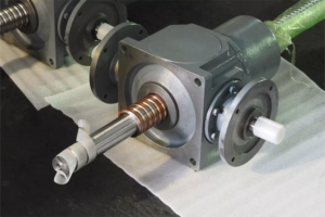 worm gear screw jack