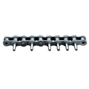 Double pitch conveyor chain with extended pins