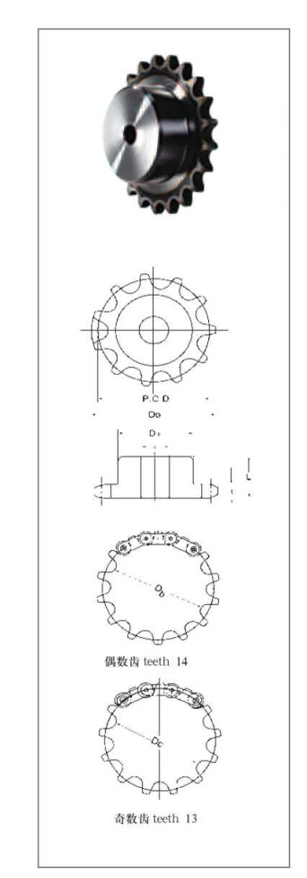 R S Type Double pitch sprockets