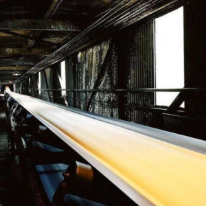 Oil resistant conveyor belt