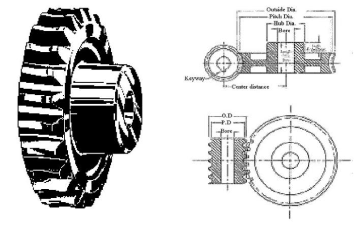 Steel Helix Angle Worms